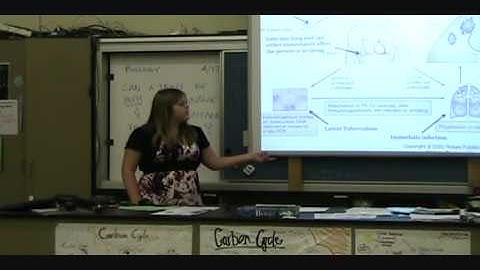 TB or not TB? part 1