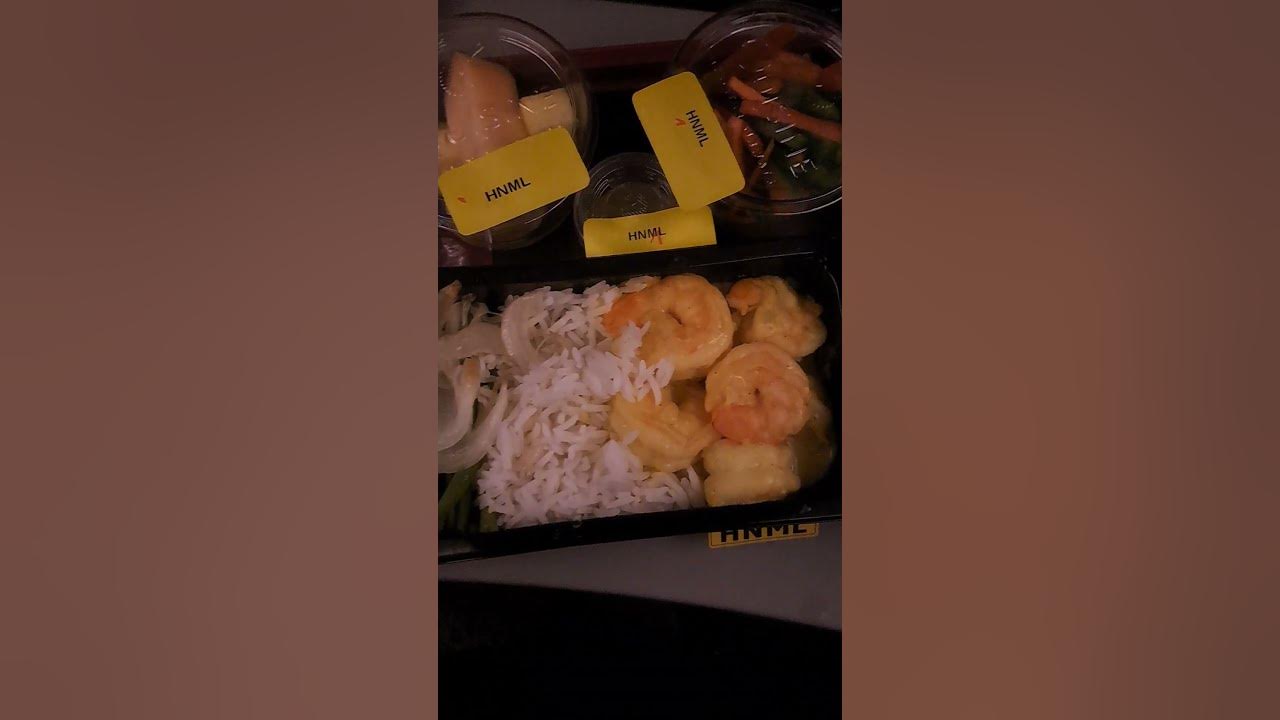 qatar-airways-hindu-meal-youtube