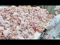 하루 8000개씩 팔리는 닭꼬치?부터 한국 최대 규모 닭갈비 공장까지! 닭요리 몰아보기 / chicken food collection / korean street food