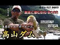 【高山ダム】真夏のイェーガーゲーム！激流に潜むビッグバスを攻略する！！#イヨケン #伊豫部健 #陸っぱり #高山ダム #バス釣り #bassfishing #bigbait #イェーガー #zone