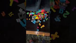 Magnet Letters and Numbers & Shapes Falling Toys Wealth