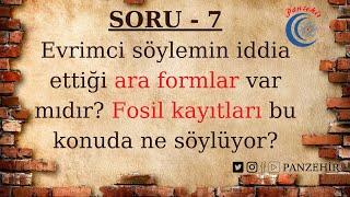 Ara Formlar Var Mıdır ? Fosi̇l Kayitlari Ne Diyor ?