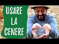 La CENERE come concime