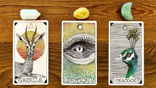 GOOD NEWS FROM YOUR FUTURE SELF!✨ | Pick a Card Tarot Reading