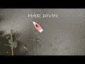 Har Divin - David Preuteasa ( Official Video )