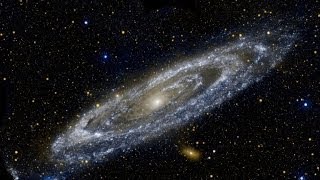 How galaxies evolve | Dr. Sarah Sweet | TEDxBrisbane