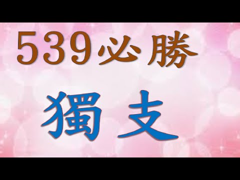 2月14日 539必勝獨支-1上期中28