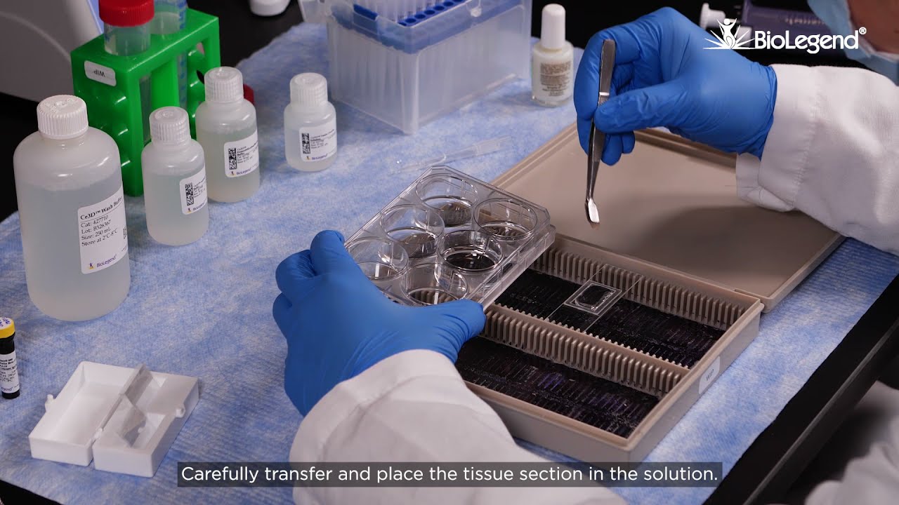 Ce3D™ Tissue Clearing Kit Staining Protocol for Microscopy