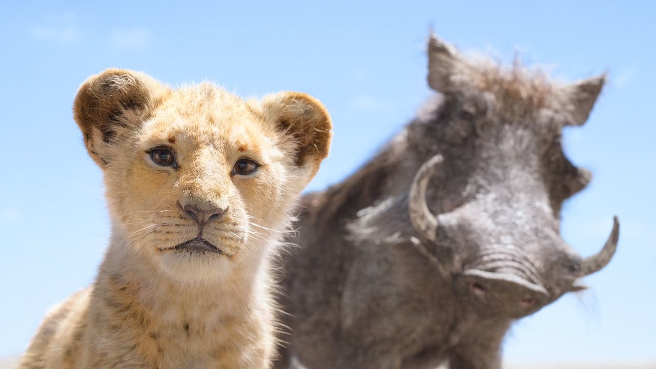 The Lion King 2019 - Hakuna Matata Music Video I 4K Ultra HD The Lion King 2019 - Hakuna Matata Music Video I 4K Ultra HD