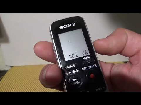 Vídeo: Grabadora De Voz Digital Sony ICD-P620 - Matador Network