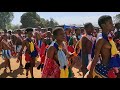 Dancing maidens at Umhlanga (Reed Festival) in Eswatini (2019)