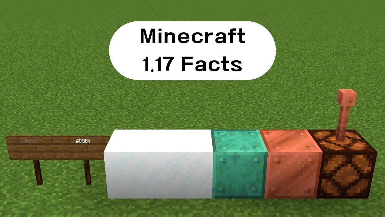 Minecraft 1.17 Facts 