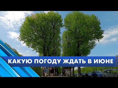 Какую погоду ждать петербуржцам в июне?