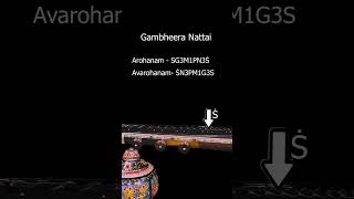 Know A Raga Series | Gambheera Nattai