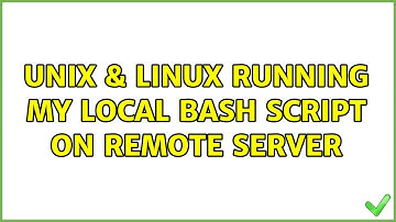 Unix & Linux: Running my local bash script on remote server