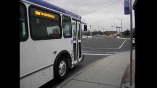YRT - 2002 Orion 05.501 V Diesel #230 On 301 Markham Express Pulling Off