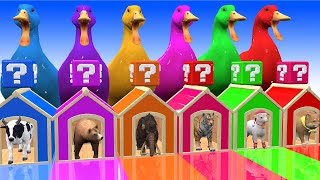 6 Giant Duck Cartoon Cow,Tiger,Elephant,Dog,Sheep,Bear,Wild Animals Choose The Right Mystery Door!