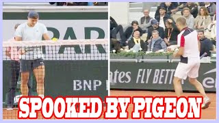 French Open stars spooked by pigeon as booing fans riled up - What you missed on day three