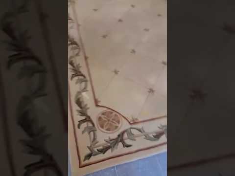 Flooding An Area Rug Before Cleaning Kip S Carpet You Flooding An Area Rug Before Cleaning Kip S Carpet