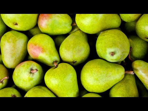 Video: Useful Properties Of Pears For Our Body