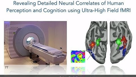 Rainer Goebel: Revealing Detailed Neural Correlates of Human Perception and Cognition