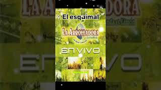El Esquimal - La Arrolladora Banda El Limón #shorts