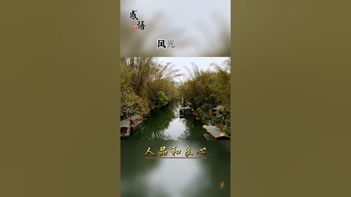 感悟·人生。人品和良心 - 天天要聞