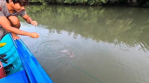 Hai Vợ Chồng Đi Giăng Câu , Khúc Cuối Dính Cá Kéo Đã Tay ( Thái Ngọc Cần Giờ )