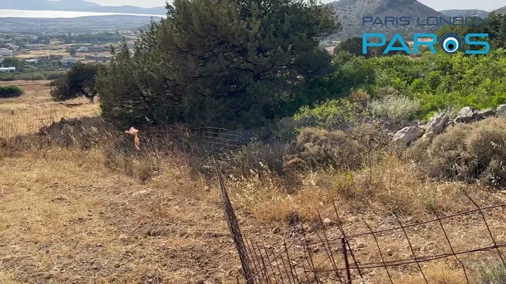 FOR SALE – €1,100,000 SEA VIEW PLOT WITH PERMIT – AGKAIRIA, PAROS (10,000 SQM)