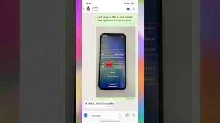 Stuck on Hello? How to Remove Locked to Owner — Bookstore iPhone Fix