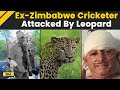 1999 World Cup Star Escapes Death, Former Zimbabwe Cricketer Guy Whittall Survives Leopard Attack