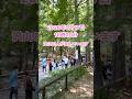 2026年5月17日沢山の人が並んでいます🐵市川市動植物園