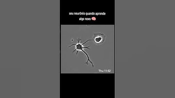 SEU NEURÔNIO QUANDO APRENDE ALGO NOVO.