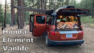 Full-time Vanlife in a 2009 Honda Element (with 2 People and 2 Dogs!)