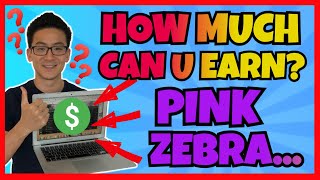 Pink Zebra MLM - How Much Can You Earn With This MLM?