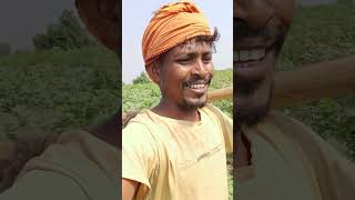 Jindagime Kamiyab Hona Hoto Mehanat Karana Badata Hai Dost Farming Harad Varkin तकर