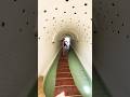 A Hotel Room That Exceeds All Expectations 笨ィ Calilo A Hotel Room That Exceeds All Expectations 笨ィ Calilo