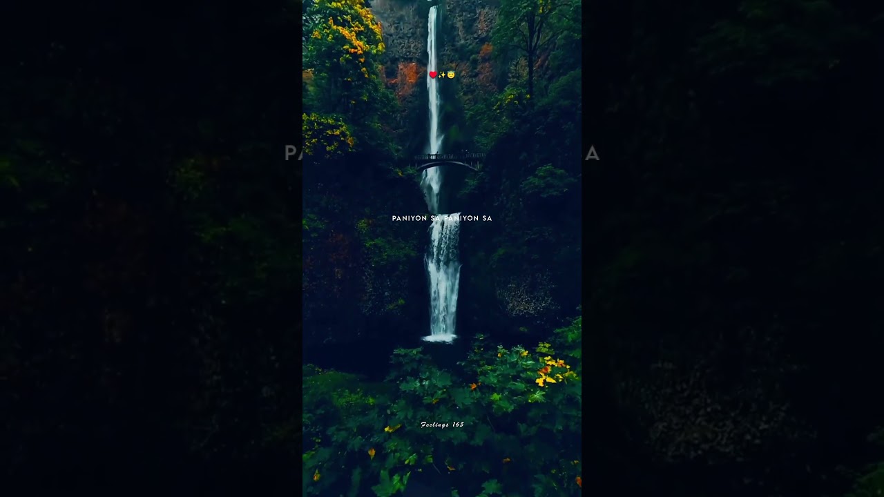 Paniyon Sa Song Lyrics Status🌊❤️||Sang Tere Paniyon Sa Behta Rahoon