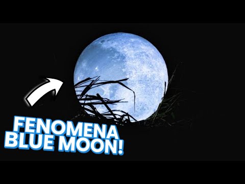 Fenomena Blue Moon, Bulan Biru yang Jarang Terjadi