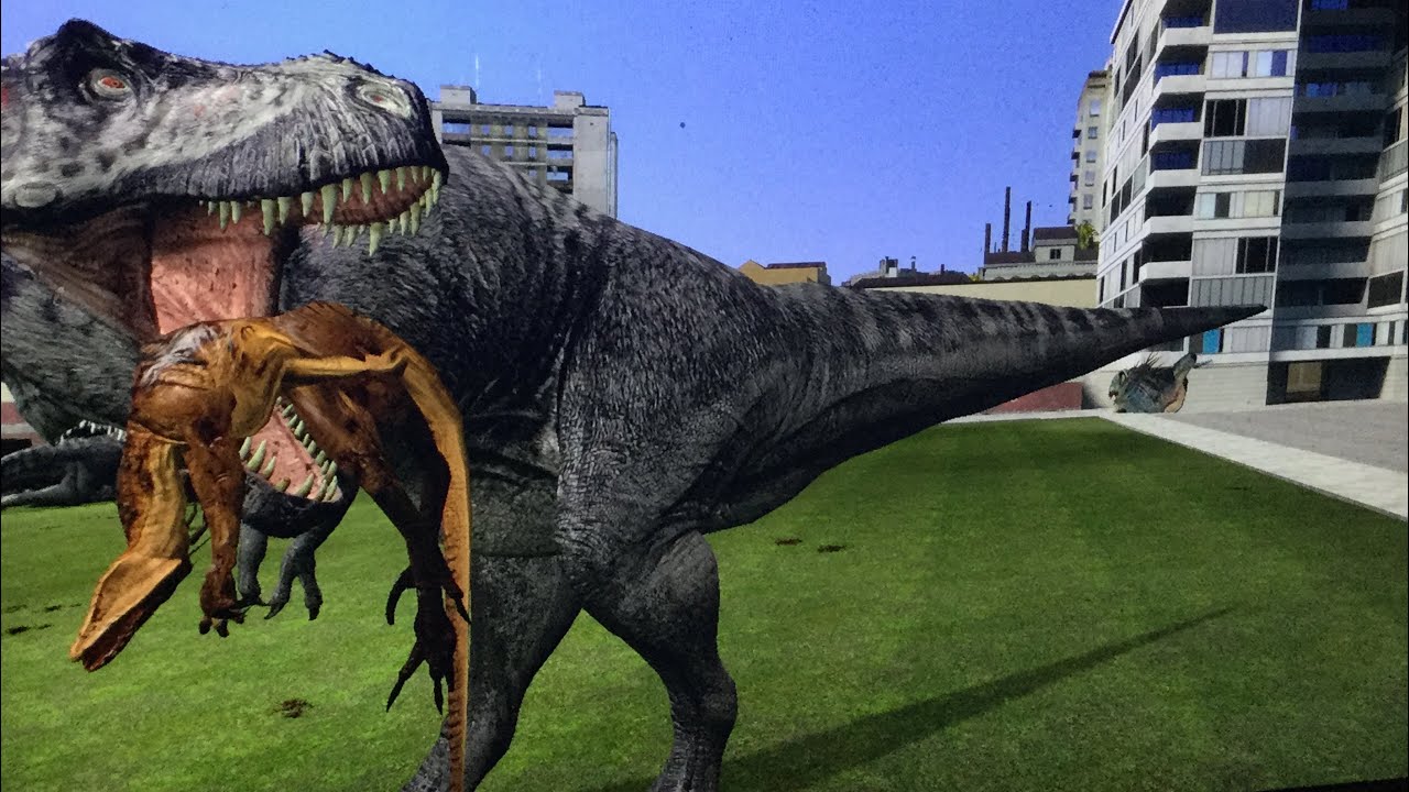 you know what to do with that big fat tail!