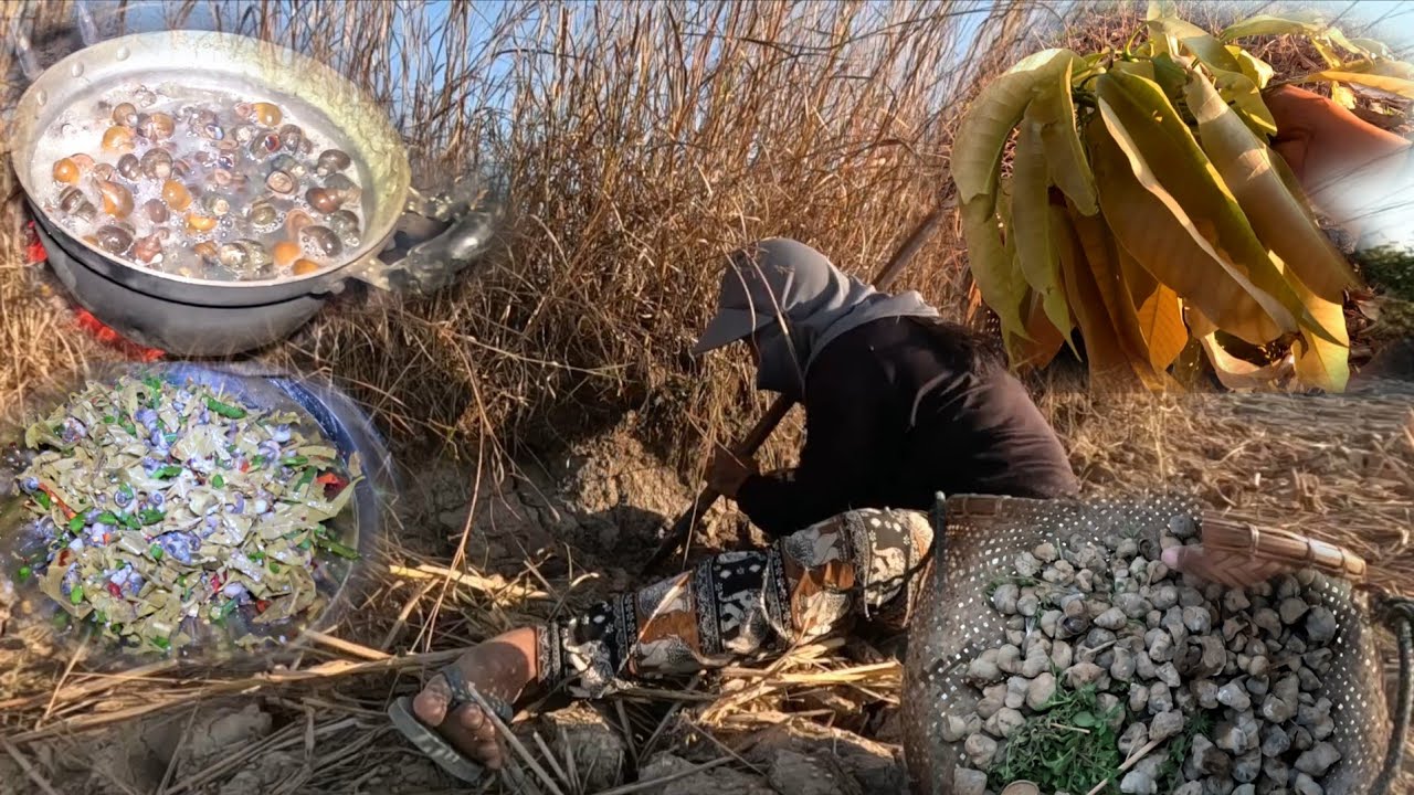 ชุบใบหมากม่วงใส่หอยเข้ากับ//ຊຸບໃບໝາກມ່ວງໃສ່ຫອຍເຂົ້າກັບ