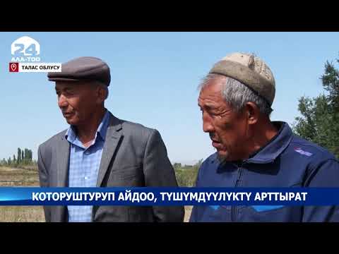 Video: Которуштуруп айдоо өзгөчөлүктөрүбү?