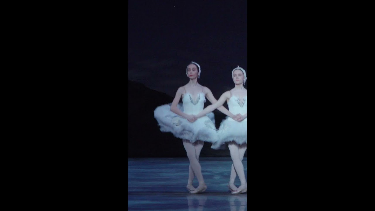 Swan Lake Moments Dance Of The Cygnets