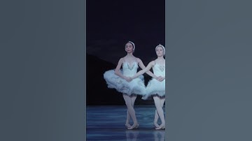Thumbnail of Swan Lake Moments: Dance of the Cygnets