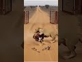 When God’s mercy surrounds danger retreats before it reaches you 🥺👍🏻#like #viral #trending #short
