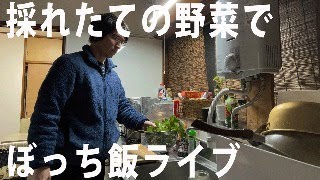 【独身51歳】家庭菜園でとれた野菜で自炊ライブ