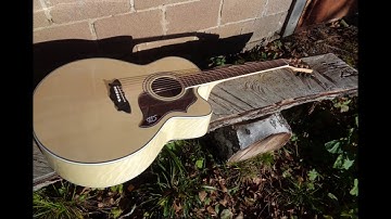 Panther (uncaged in the west mix) - C64 Remix