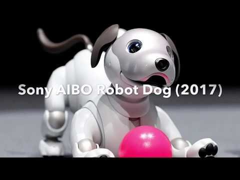 Sony AIBO Robot