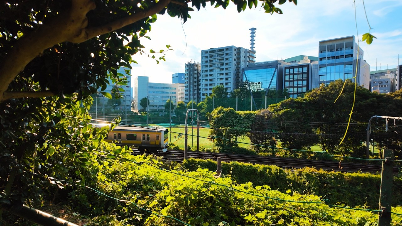 Летняя прогулка на закате в Японии с городскими парками и поездами в мягком закатном свете
