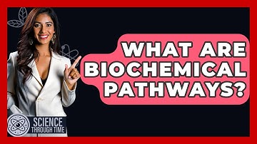 What Are Biochemical Pathways? - Science Through Time